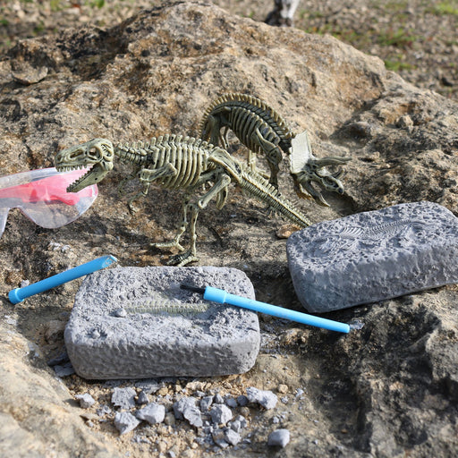Gift in a Tin | Dinosaur Excavation Kit