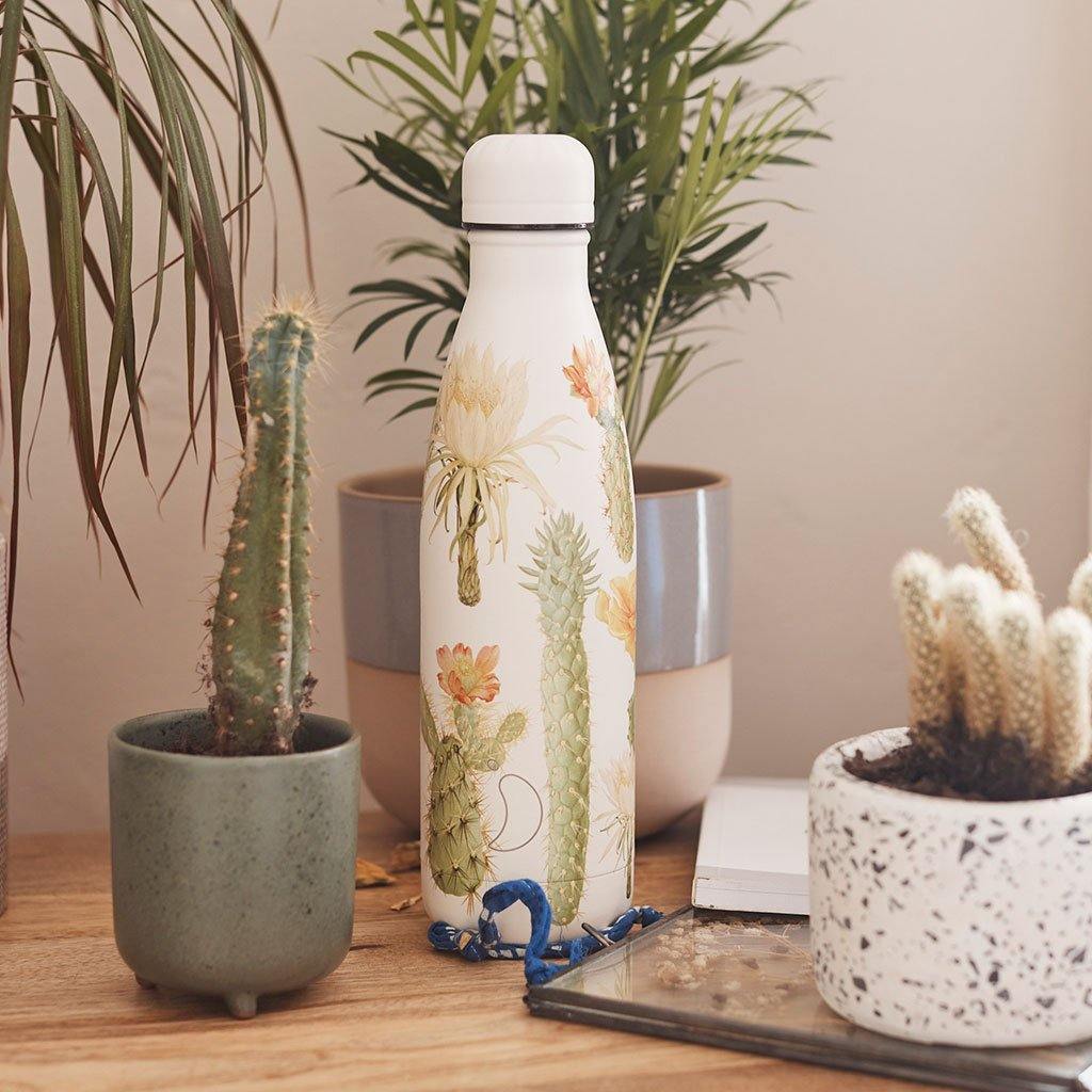 Botanical Cacti - Water Bottle — JA Lyttle