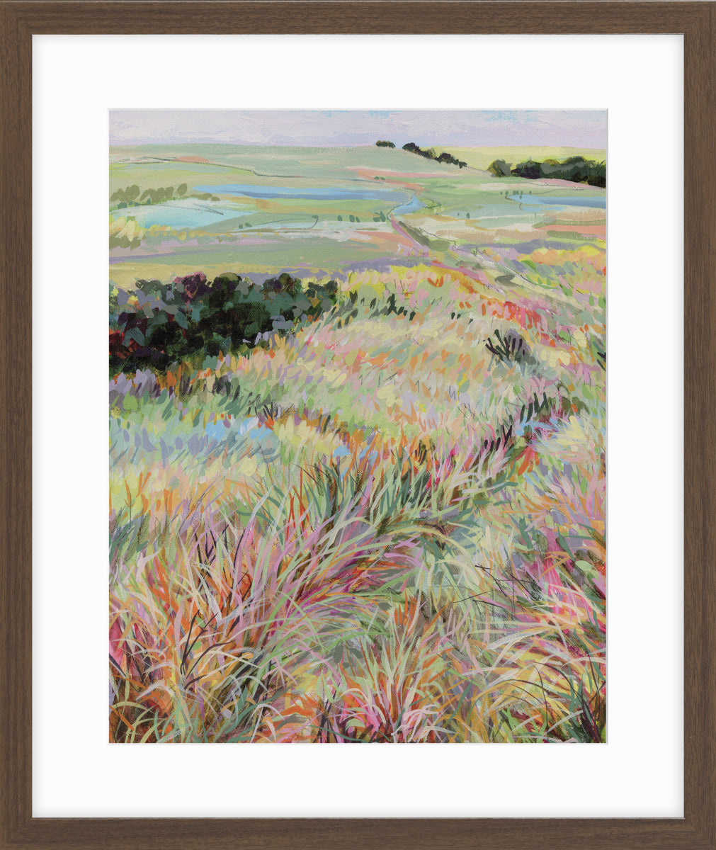 Dream a Little Dream