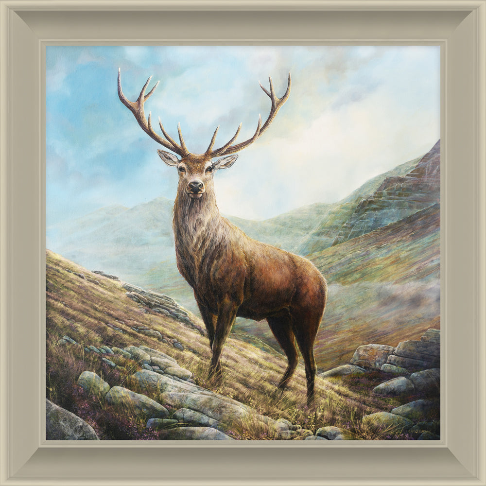 Grace of the Glen
