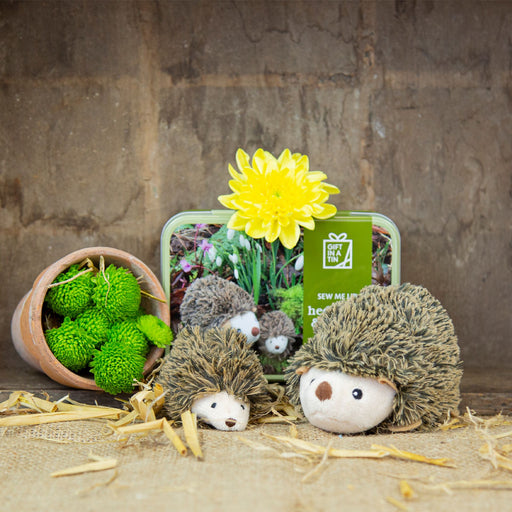 Gift in a Tin | Hedgehog & Hoglet