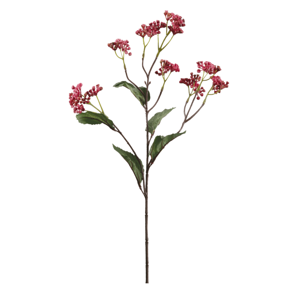 Hedera Helix | Rouge