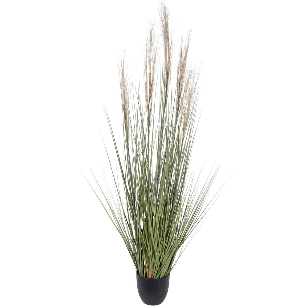 Thread Reed Onion Grass Bonsai