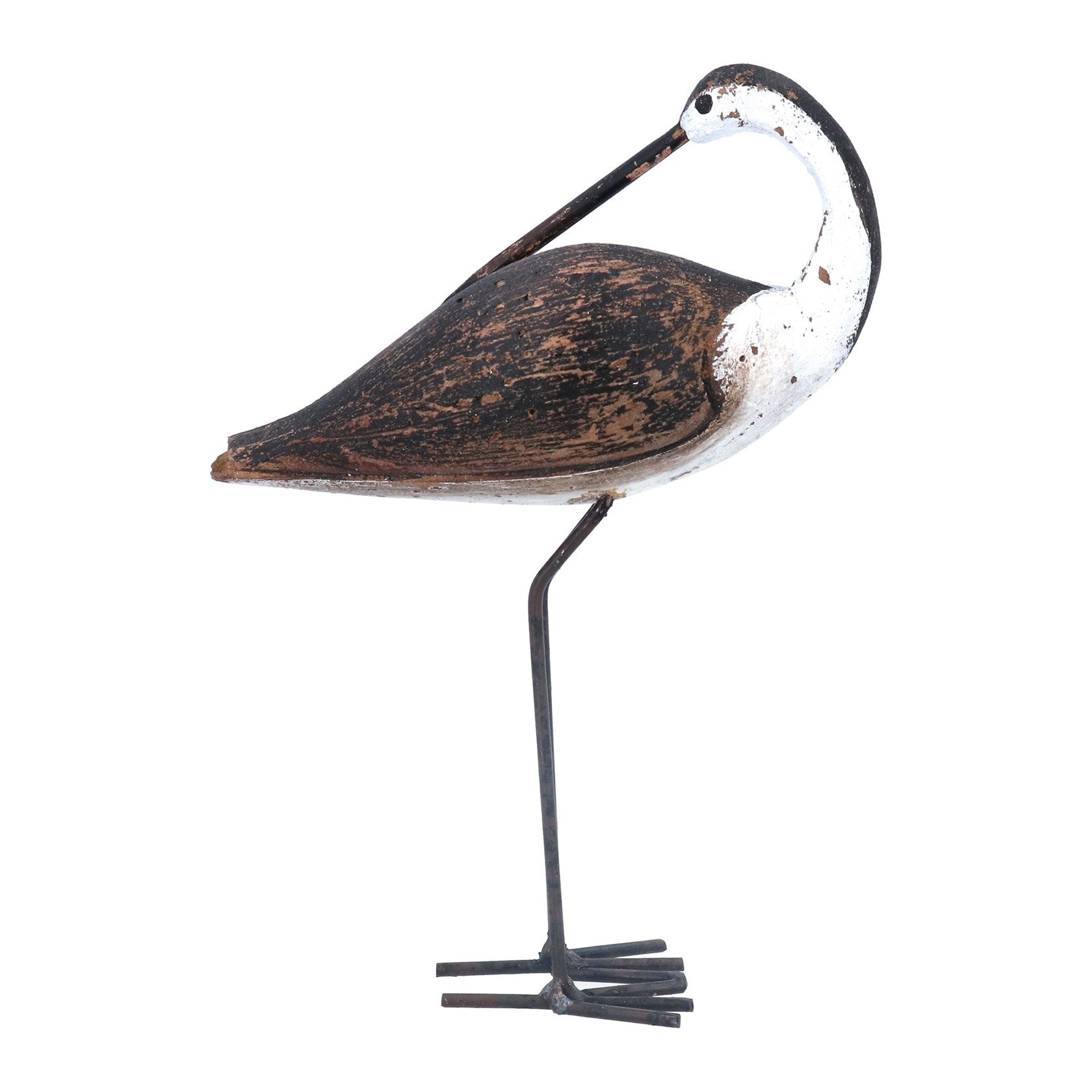 Rustic Avocet Bird
