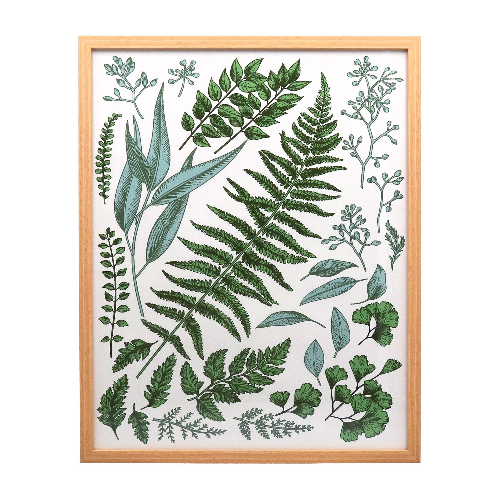 Leaf Study | Framed Print