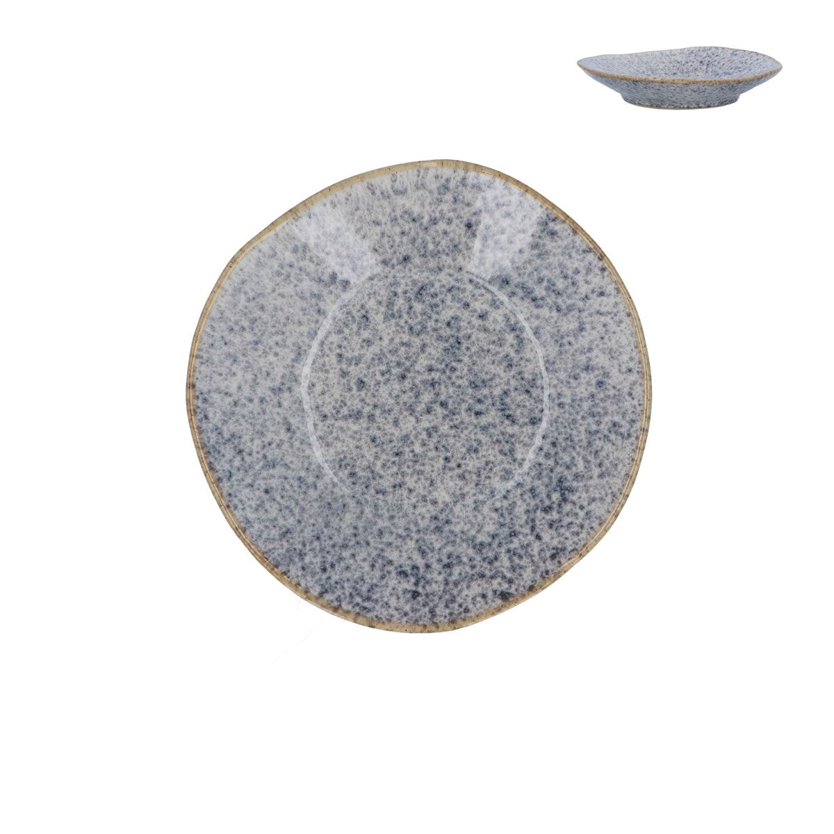 Blue Speckled | Plate