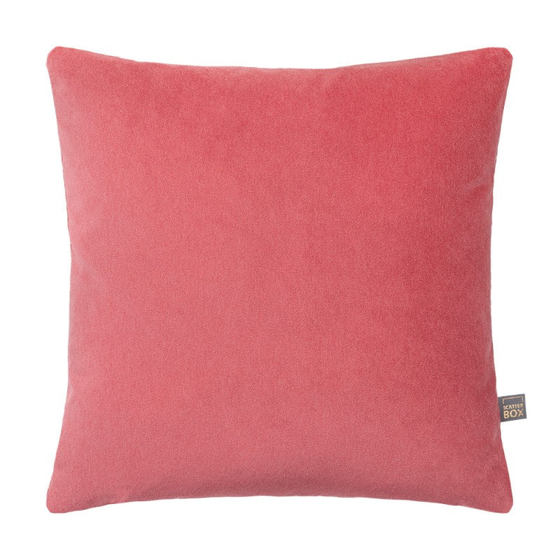 Richelle | Raspberry