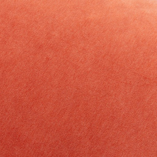 Richelle | Coral