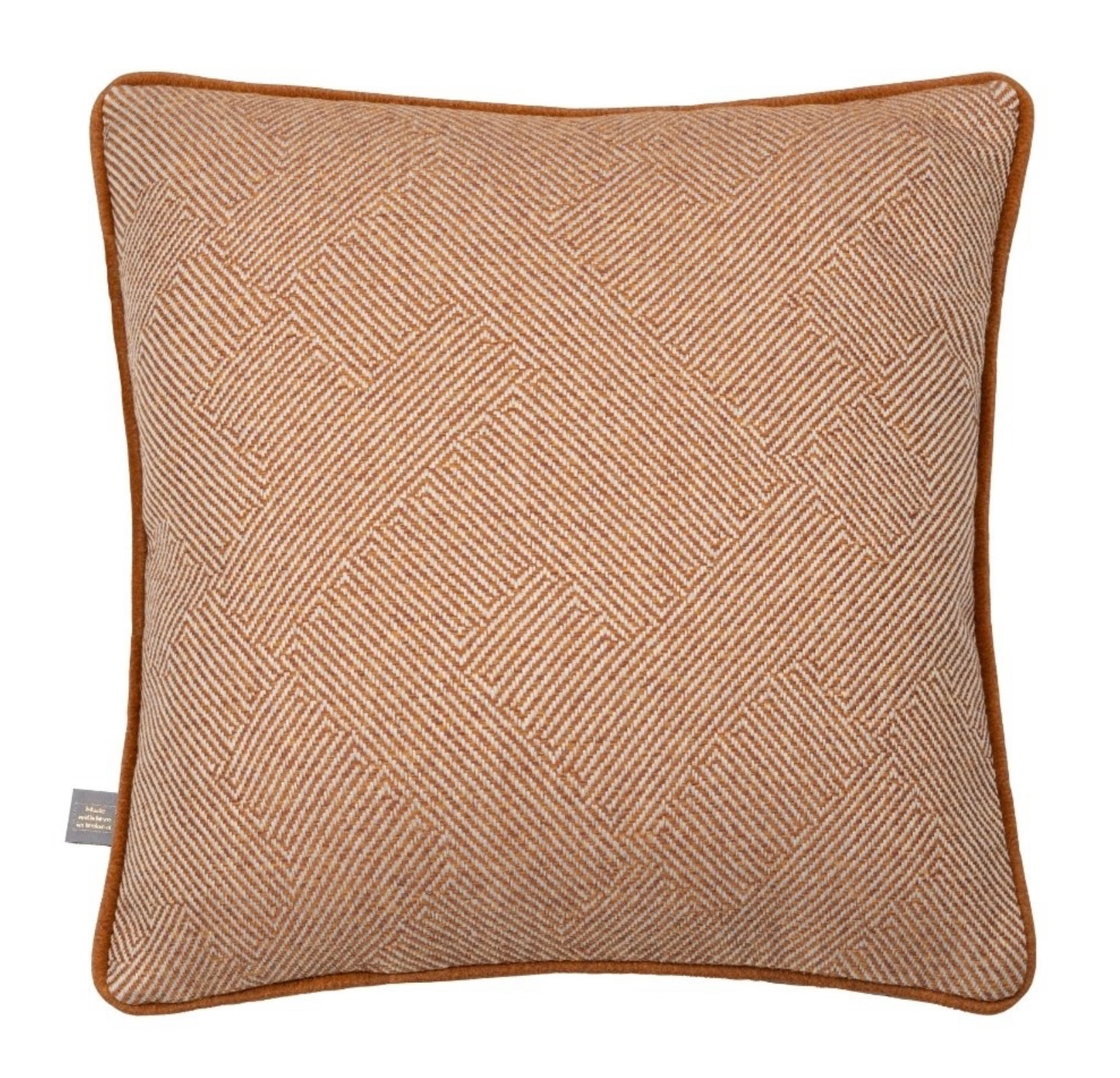 Finnegan Large Copper Cushion