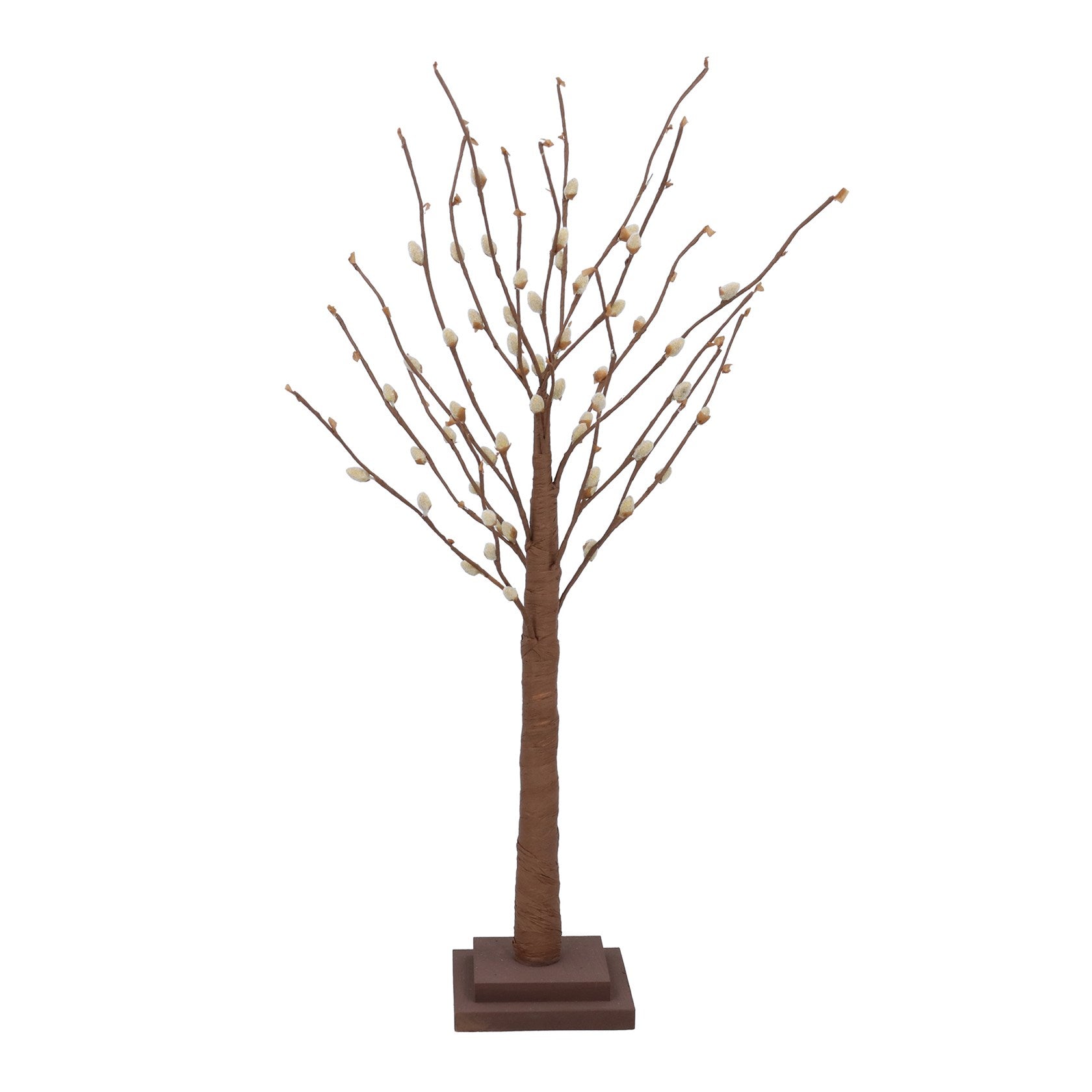 Pussy Willow | Twig Tree