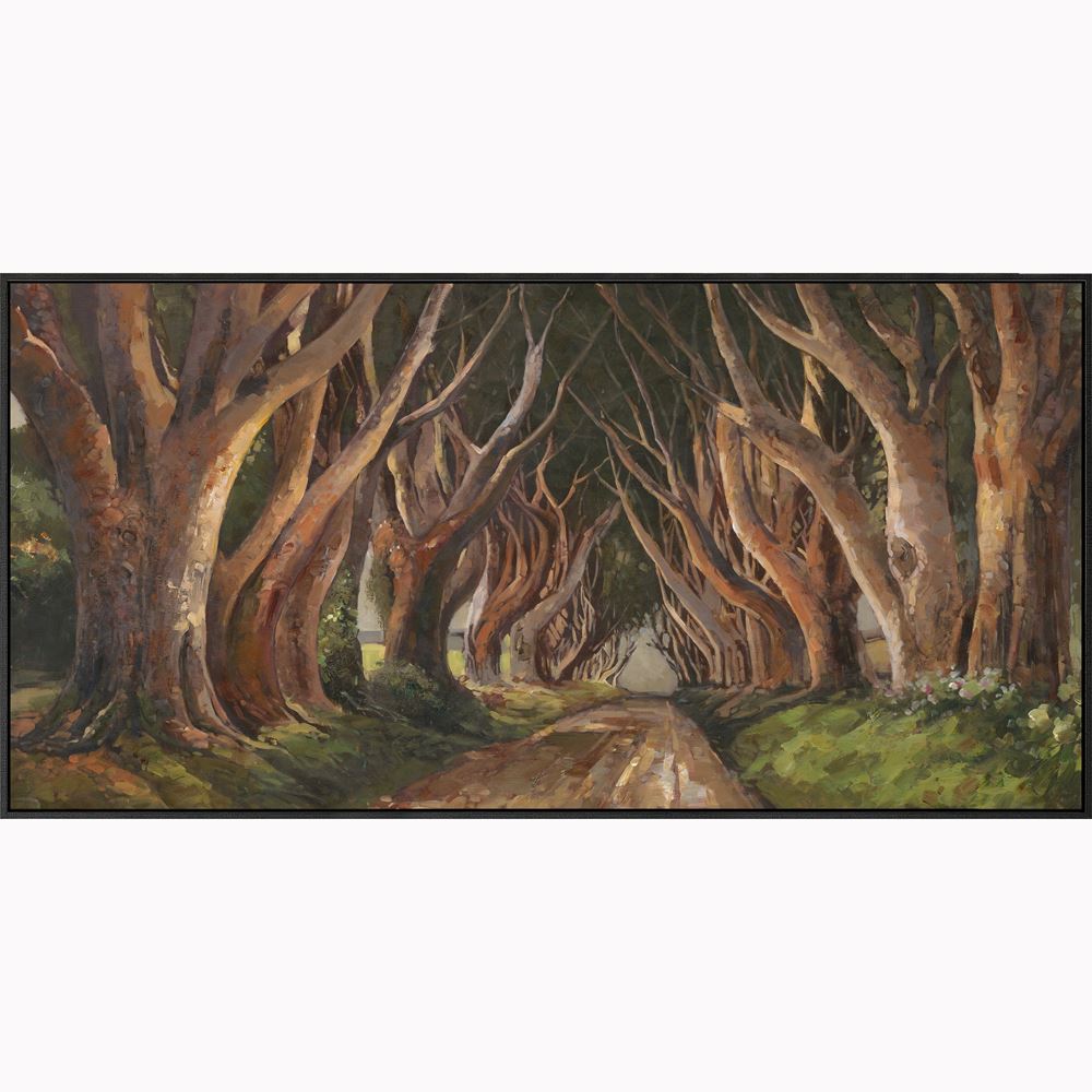 Dark Hedges
