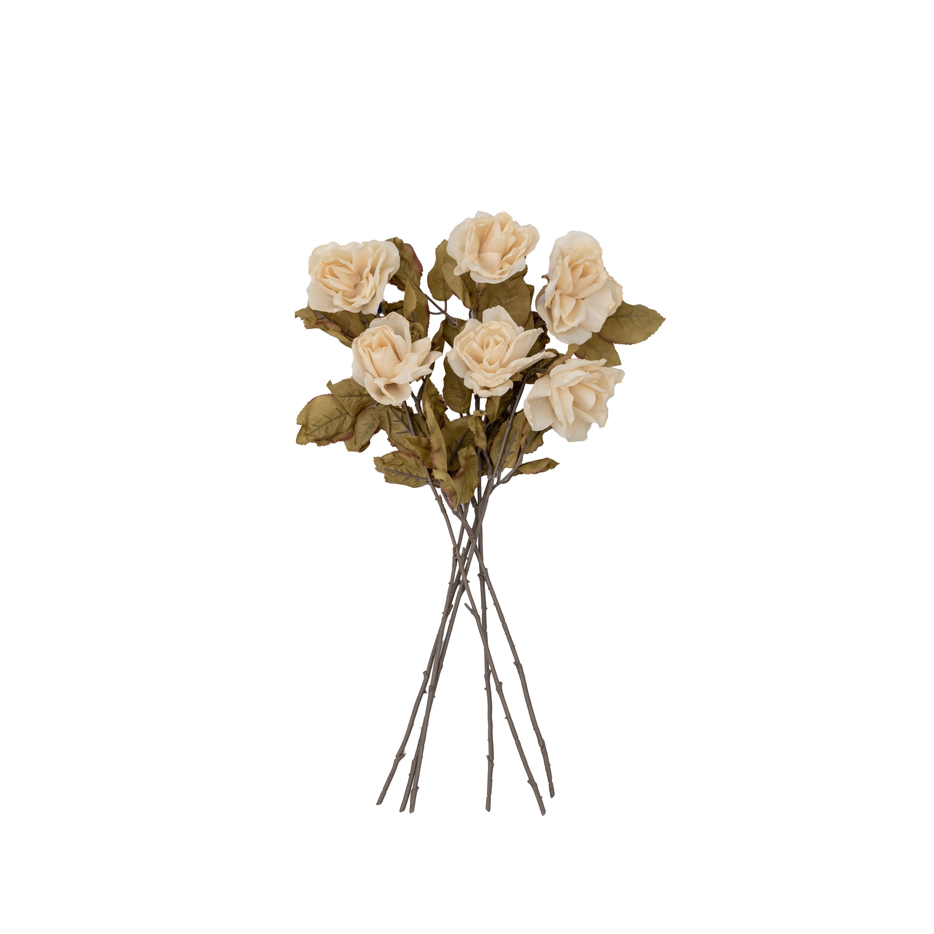 Dried Ivory Rose Stem