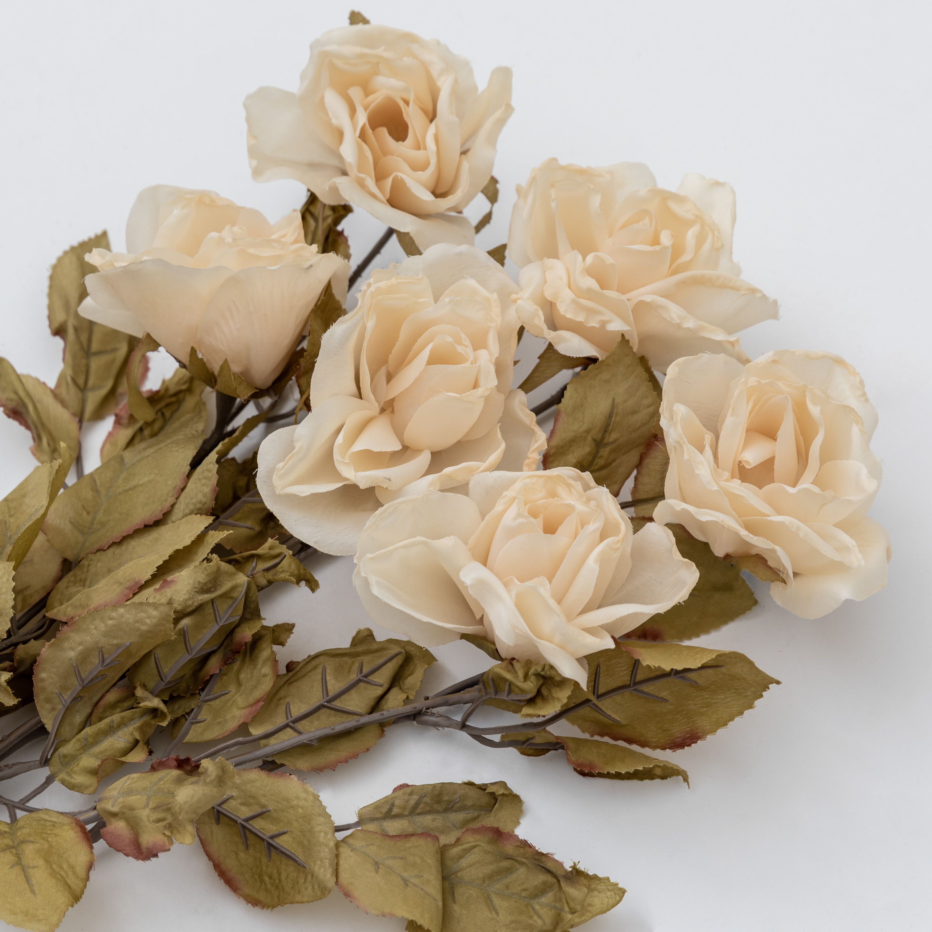 Dried Ivory Rose Stem