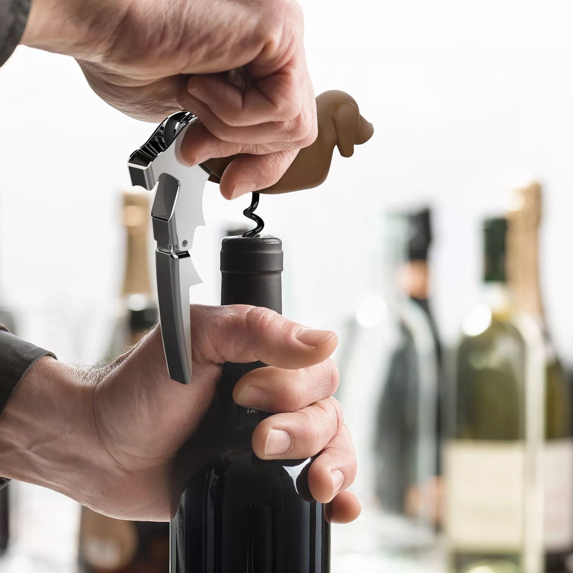 Dachshund | Corkscrew