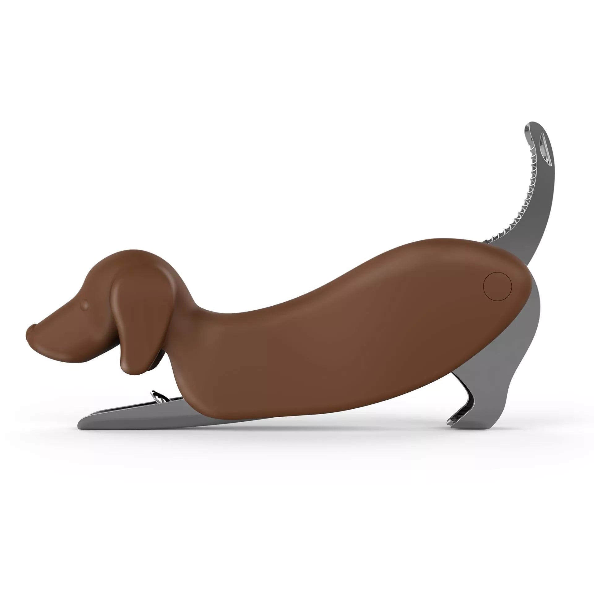 Dachshund | Corkscrew