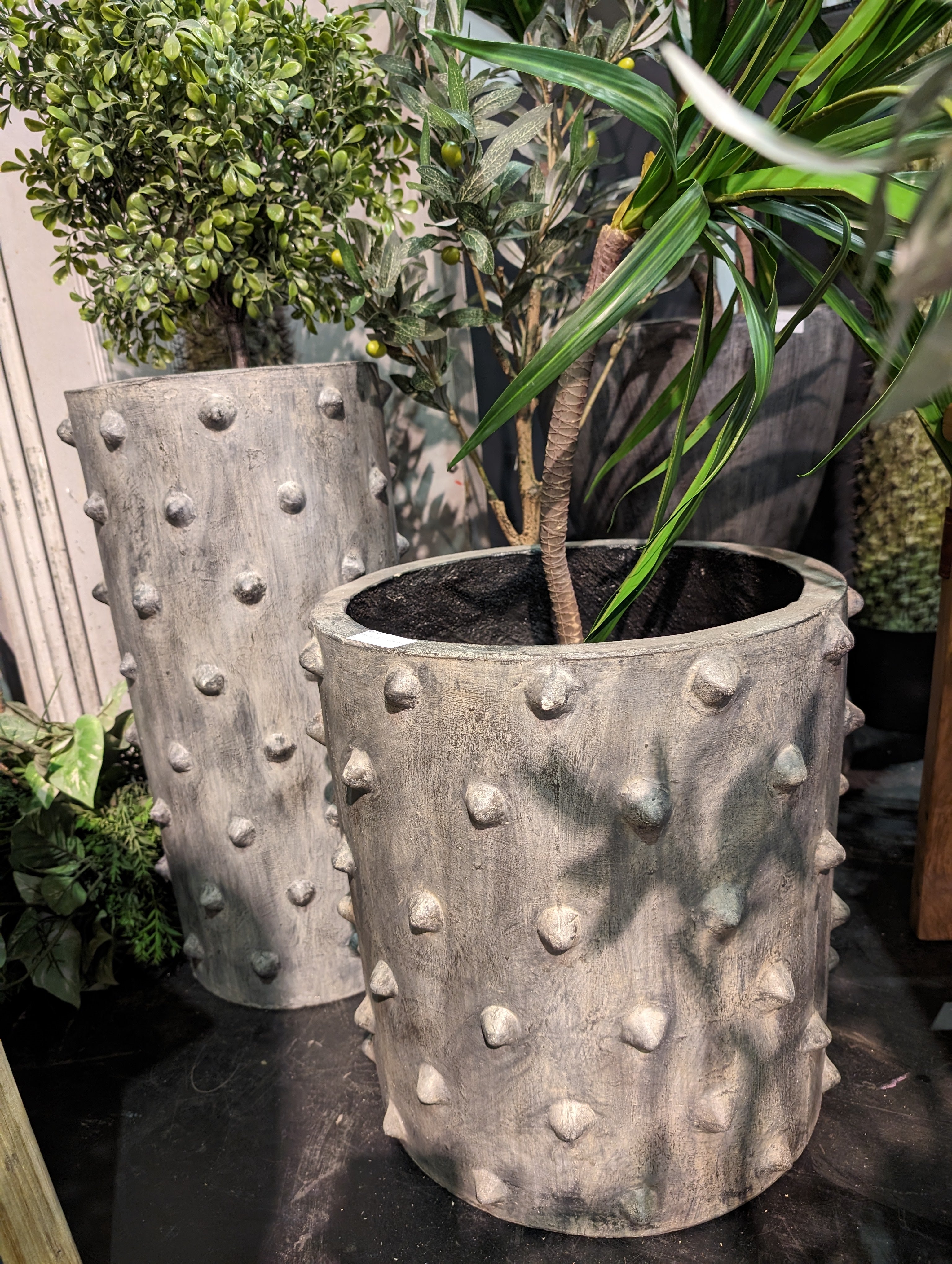 Spiky Planters