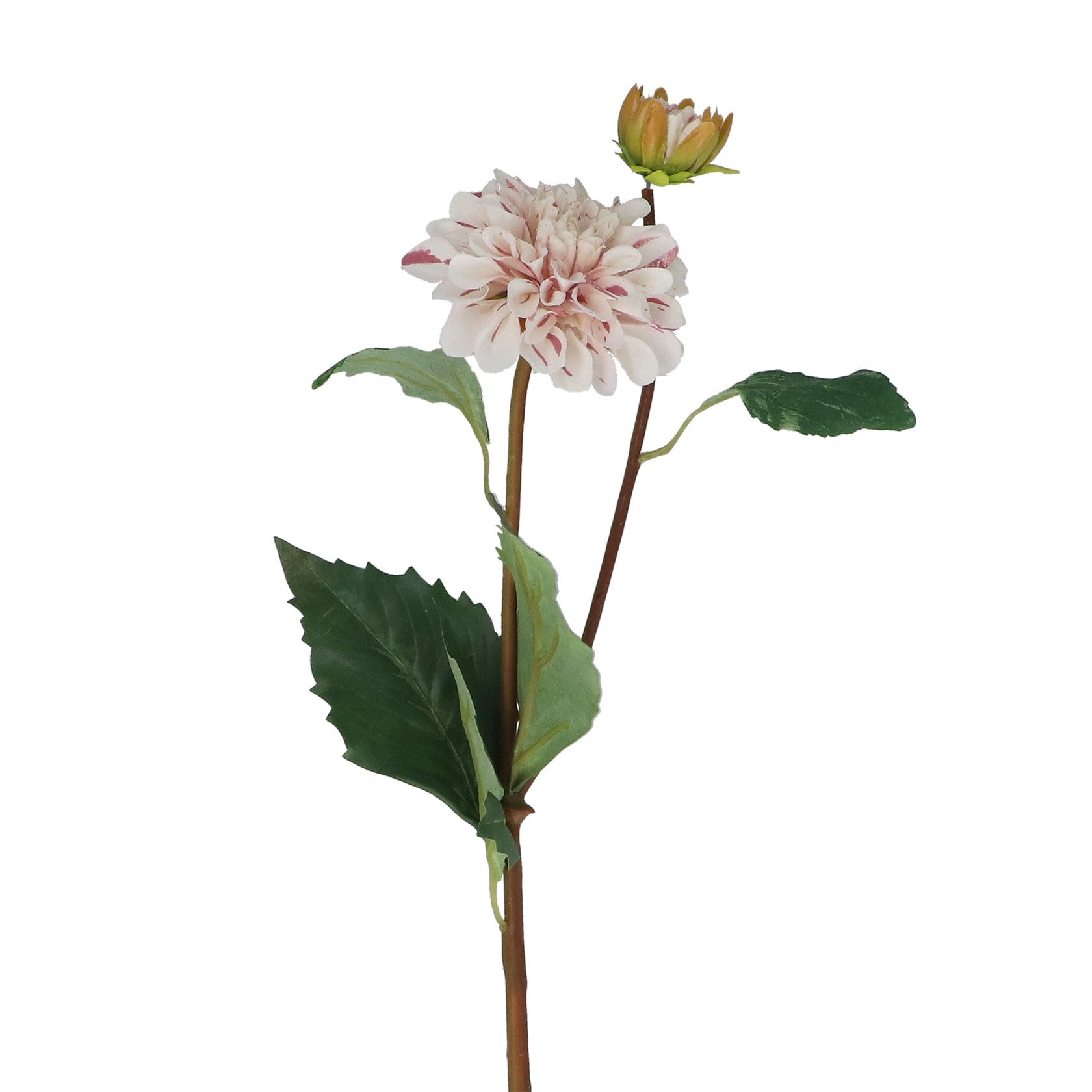 Striped Dahlia Spray | 53cm