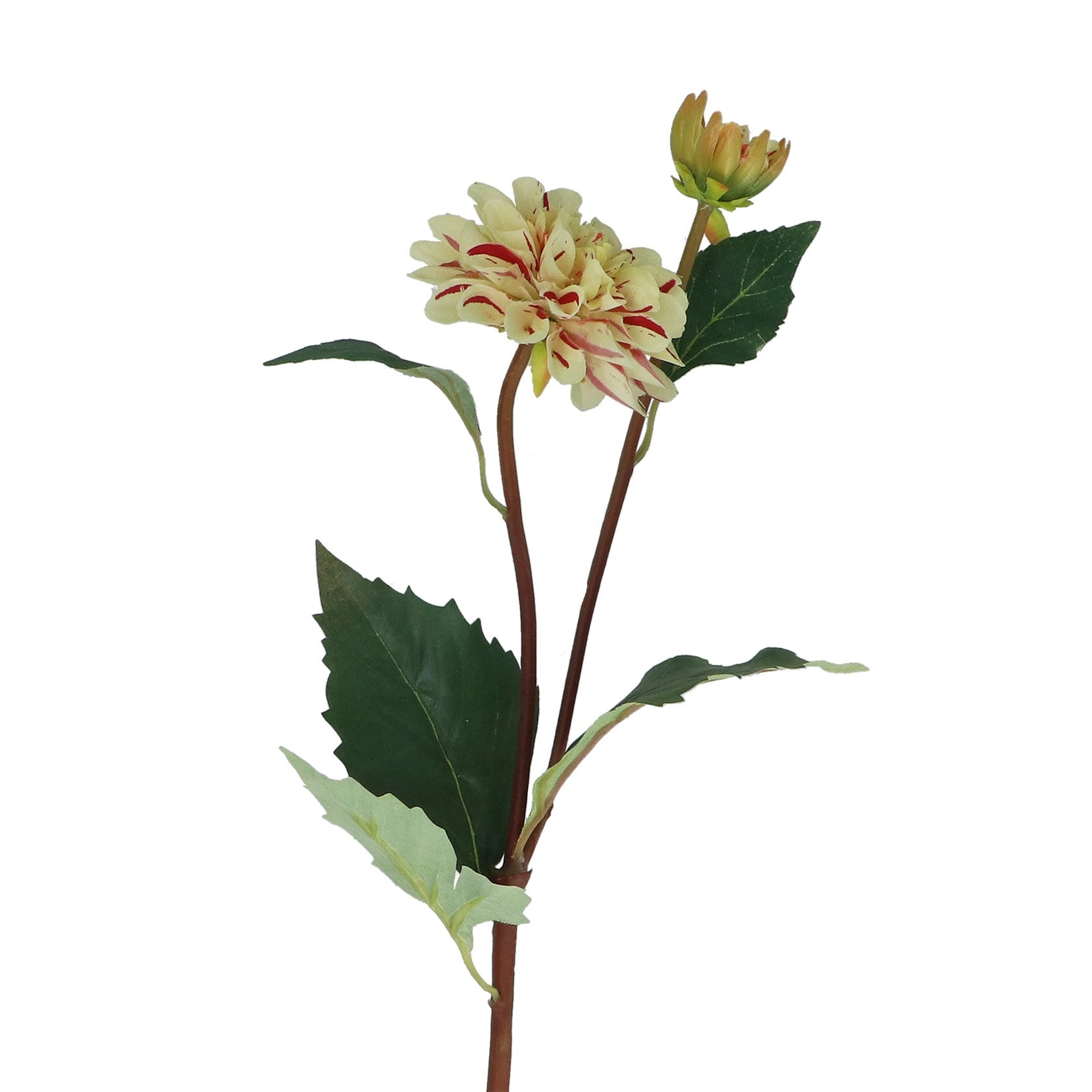 Striped Dahlia Spray | 53cm