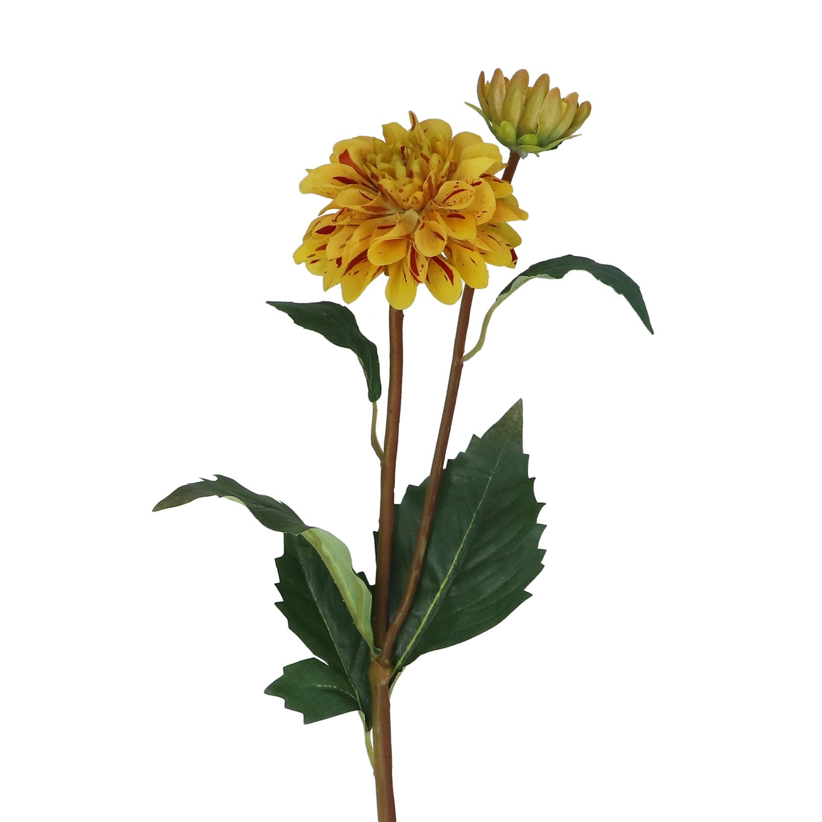 Striped Dahlia Spray | 53cm