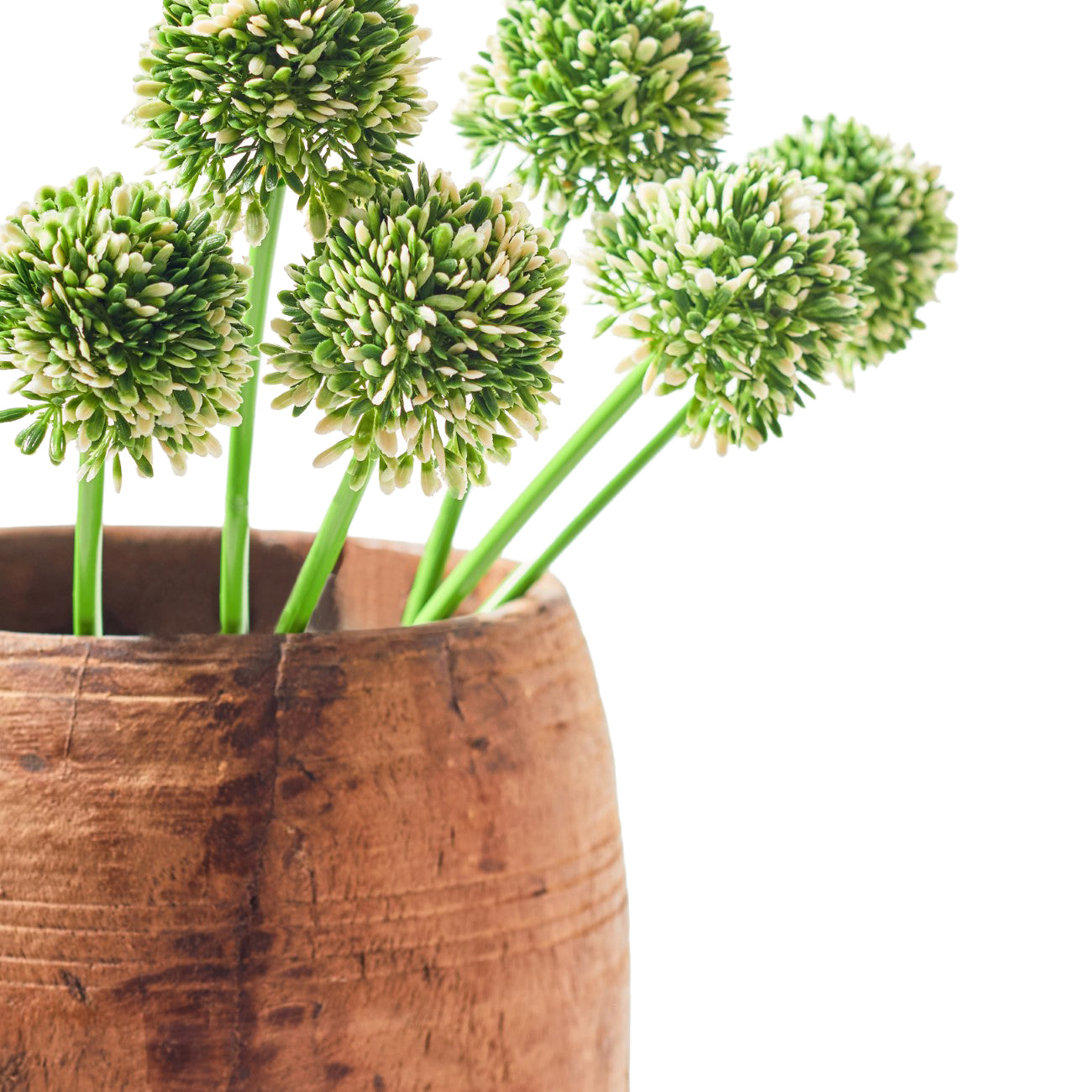 Faux Stem Allium | Green & White