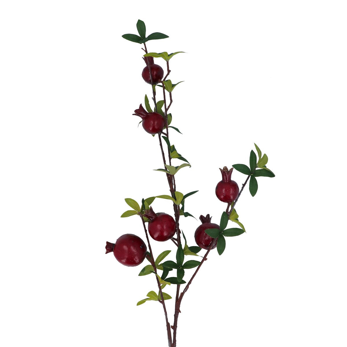 Mini Pomegranate | 98cm Spray