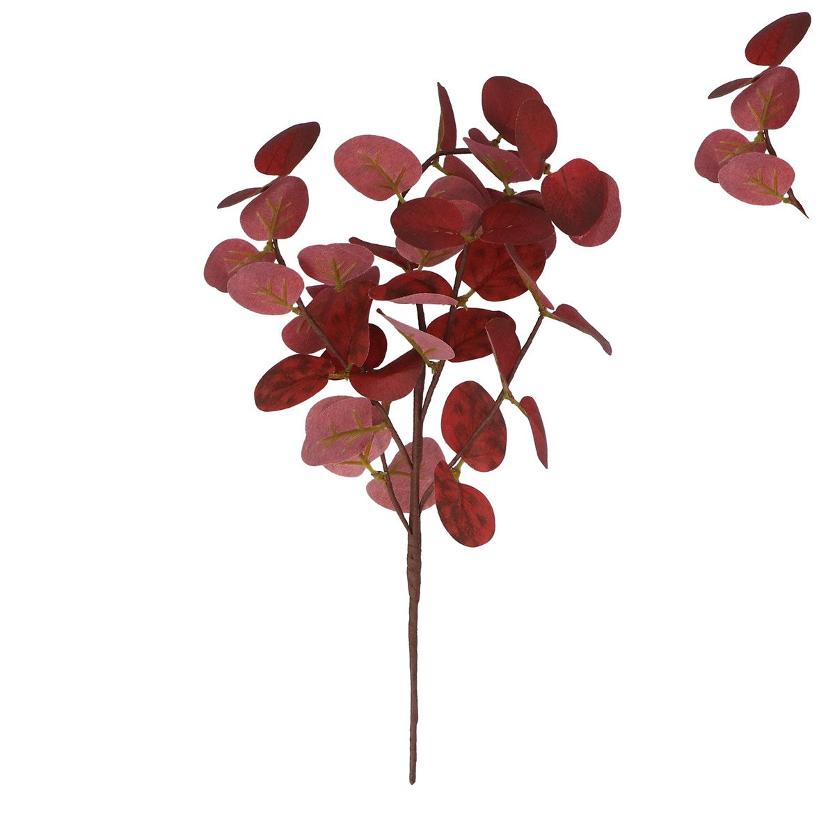 Eucalyptus Pick