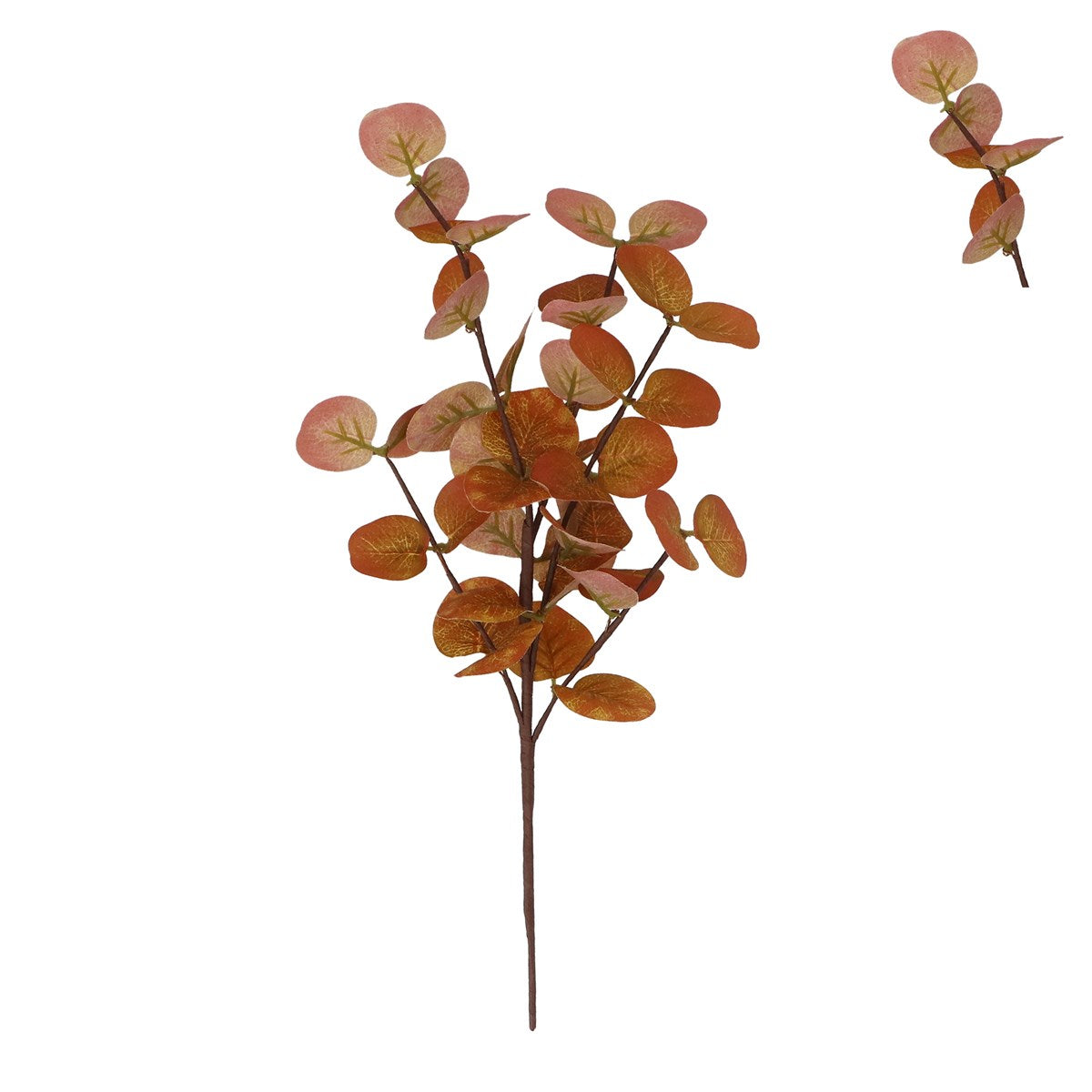 Eucalyptus Pick