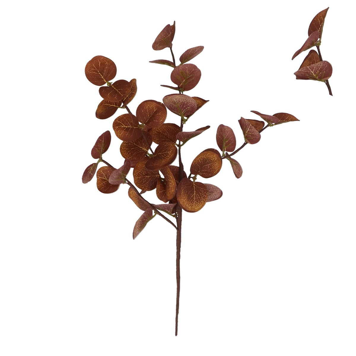 Eucalyptus Pick