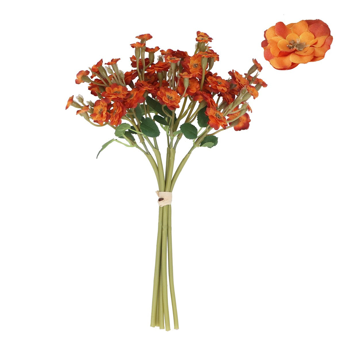 Dark Orange Miniature Rose | Set of 5
