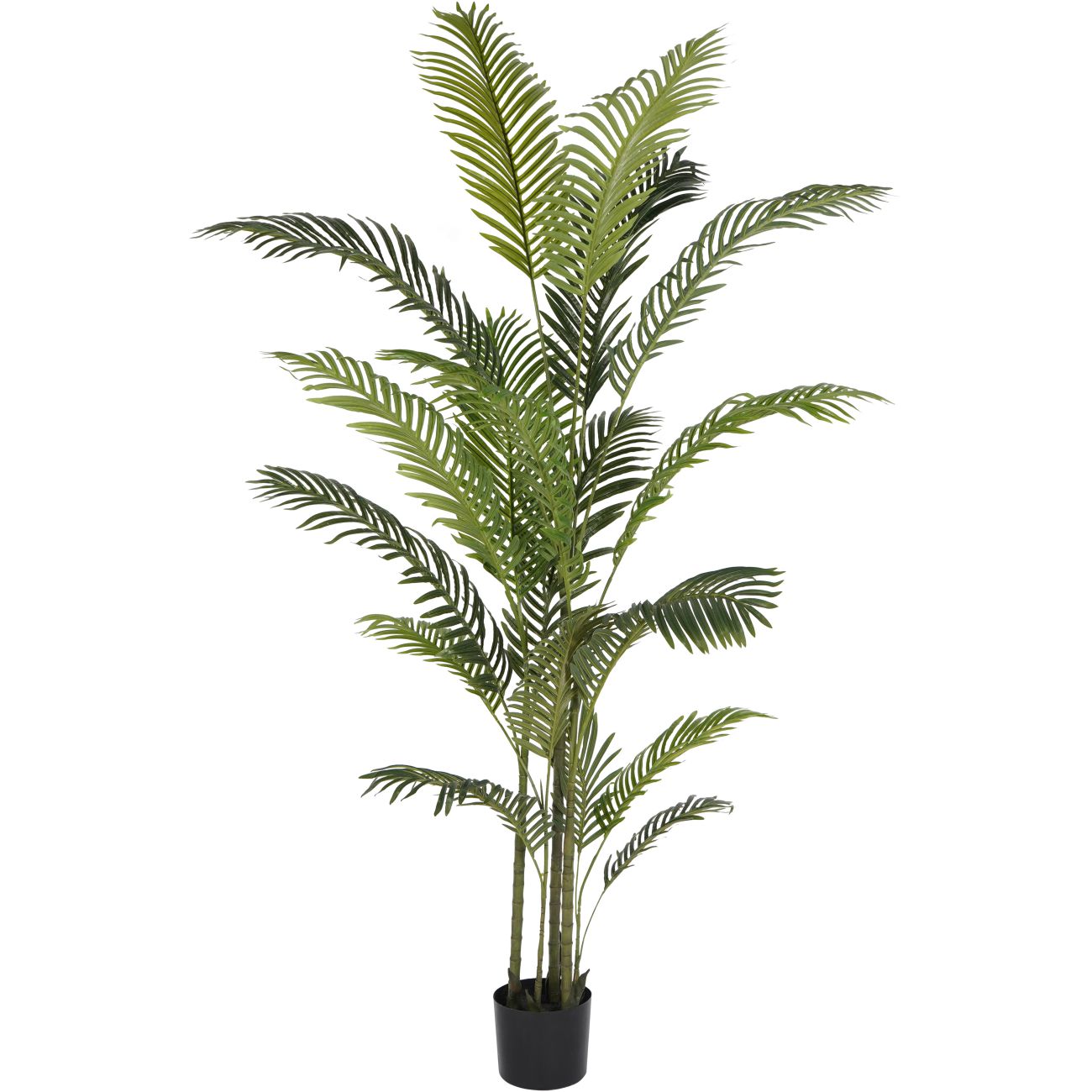 Faux Areca Palm