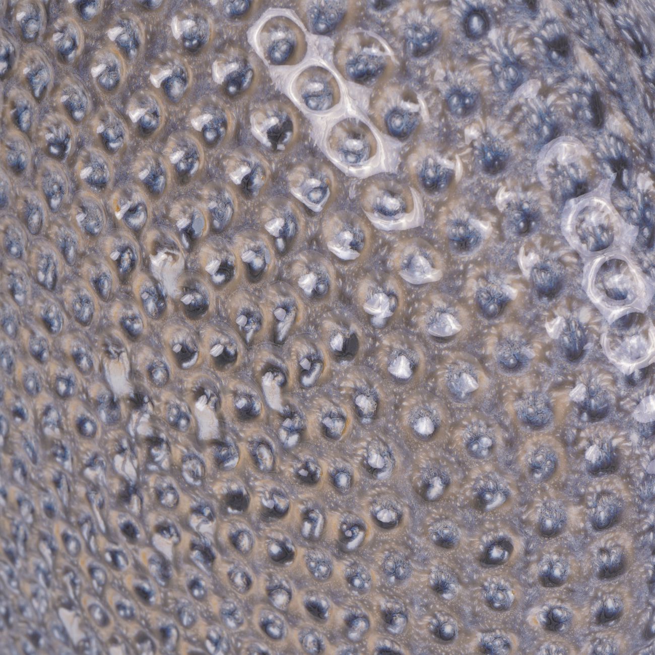 Lugo | Ceramic Table Lamp