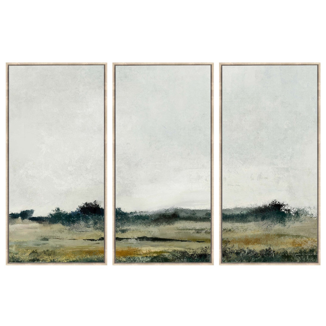 Distant Fields Trio