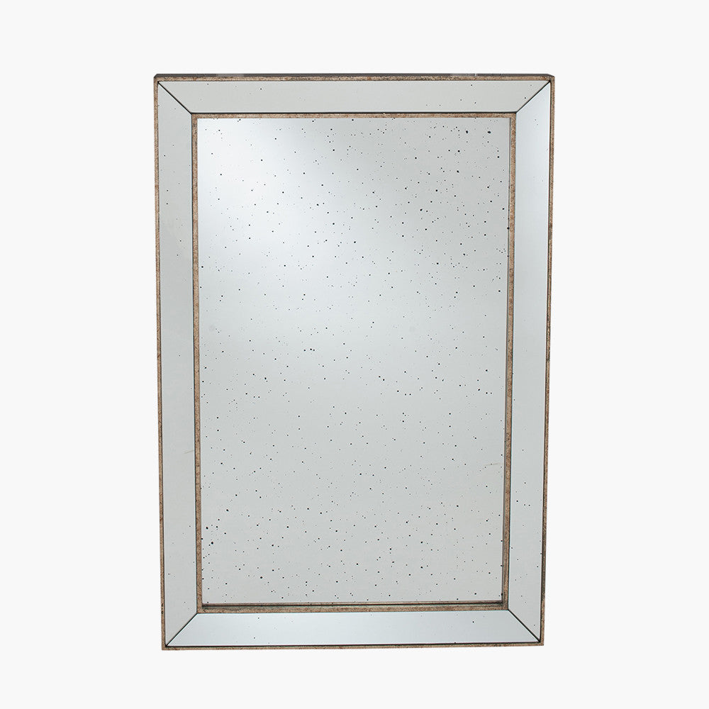 Antique Gold Metal and Foxed Glass Rectangular Mirror