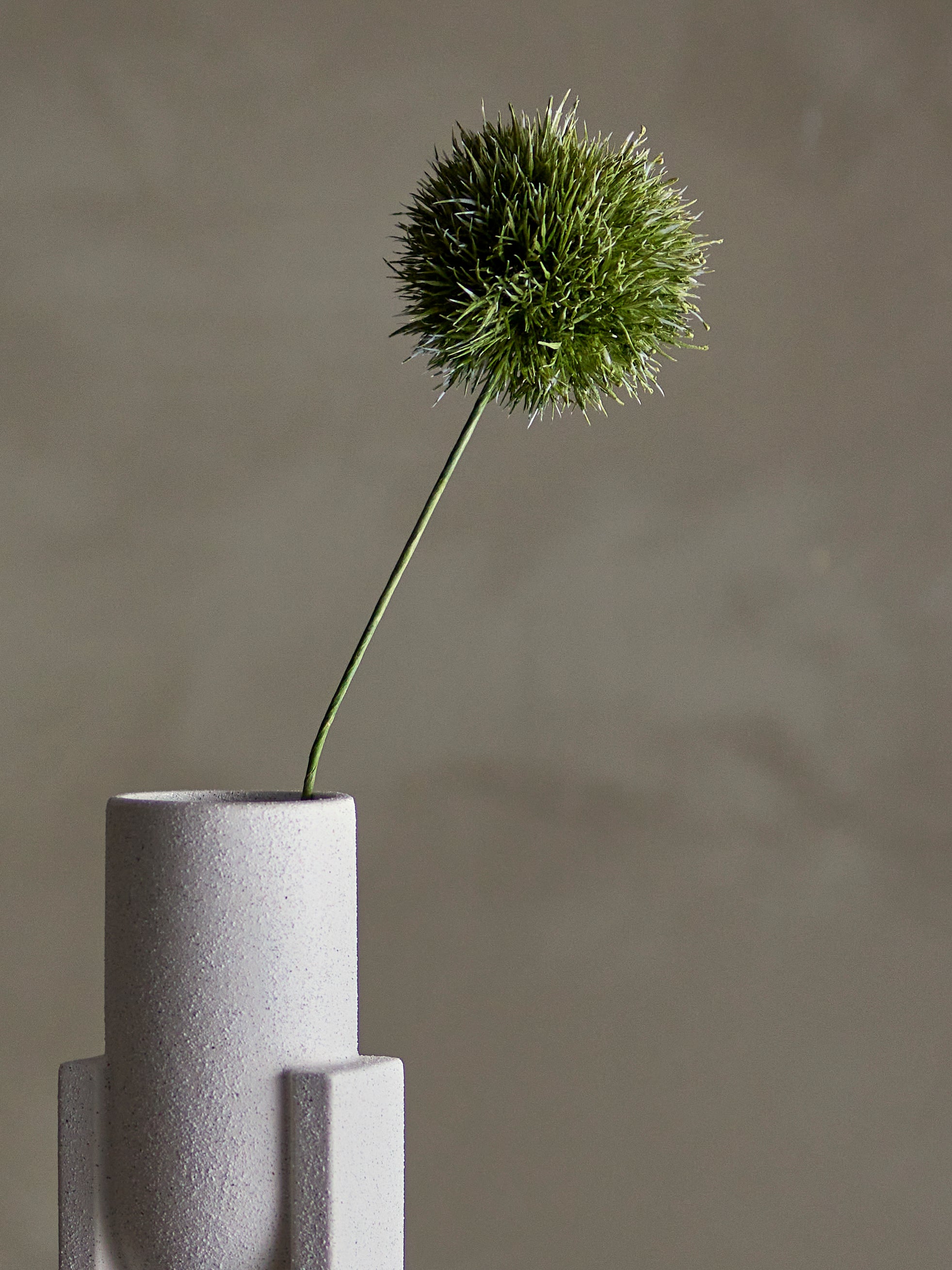 Allium Stem | Green