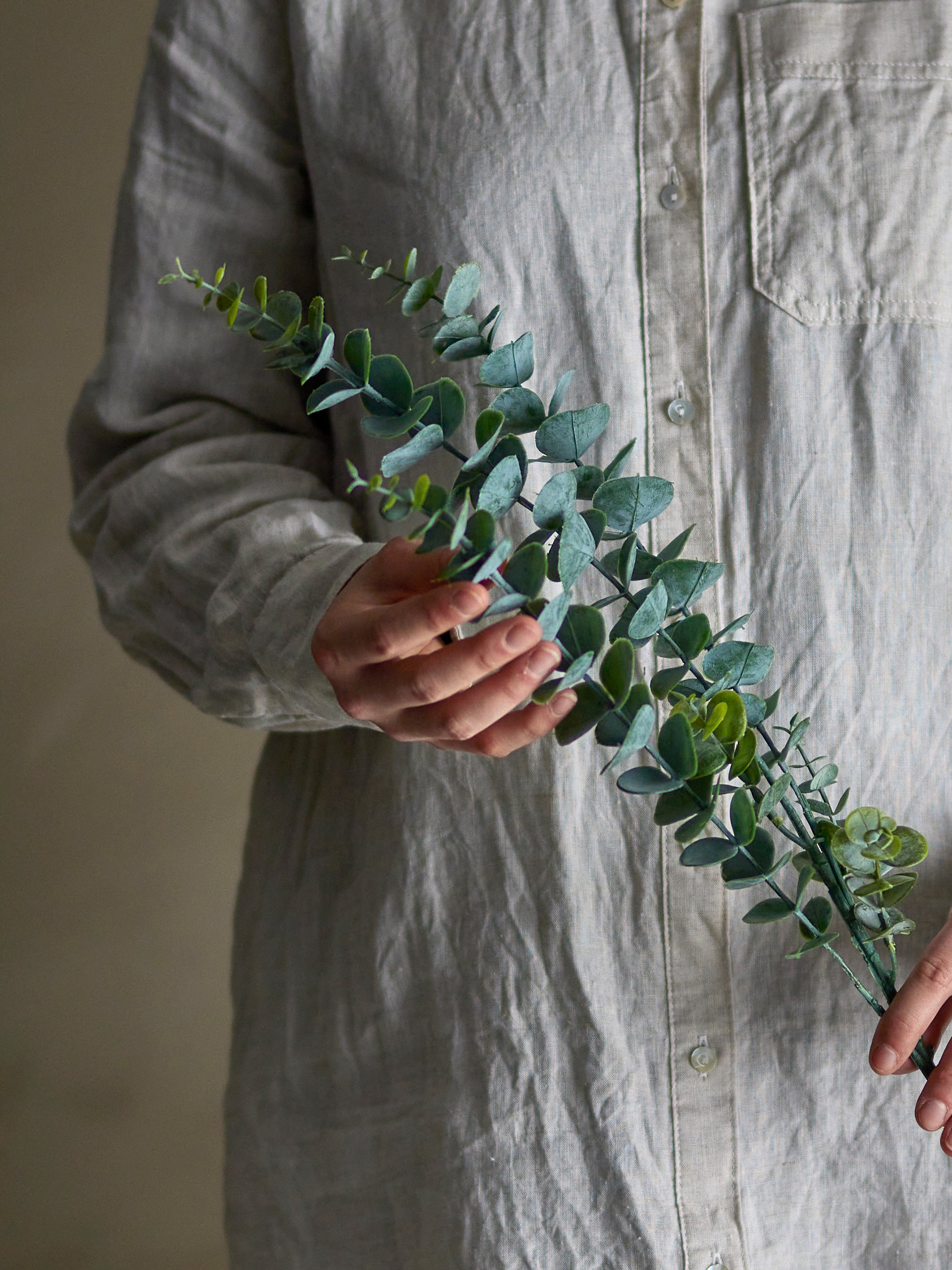 Eucalyptus Stem | Green