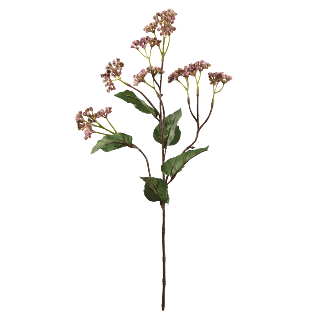 Hedera Helix | Bronze