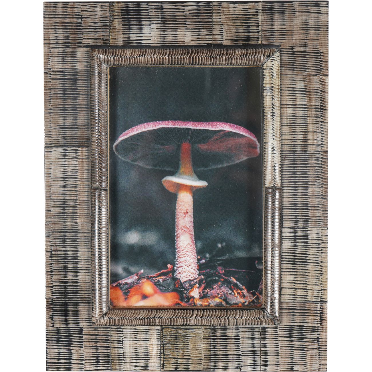 Rustic Brown Horn Frame | 4x6"