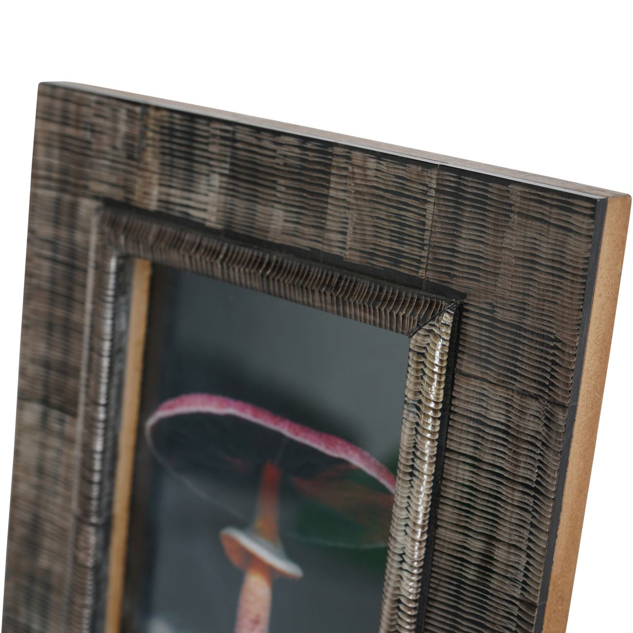 Rustic Brown Horn Frame | 4x6"