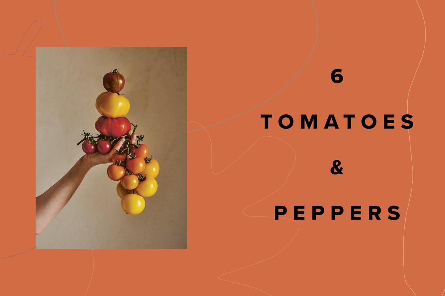 Love Vegetables: Delicious Recipes for Vibrant Meals