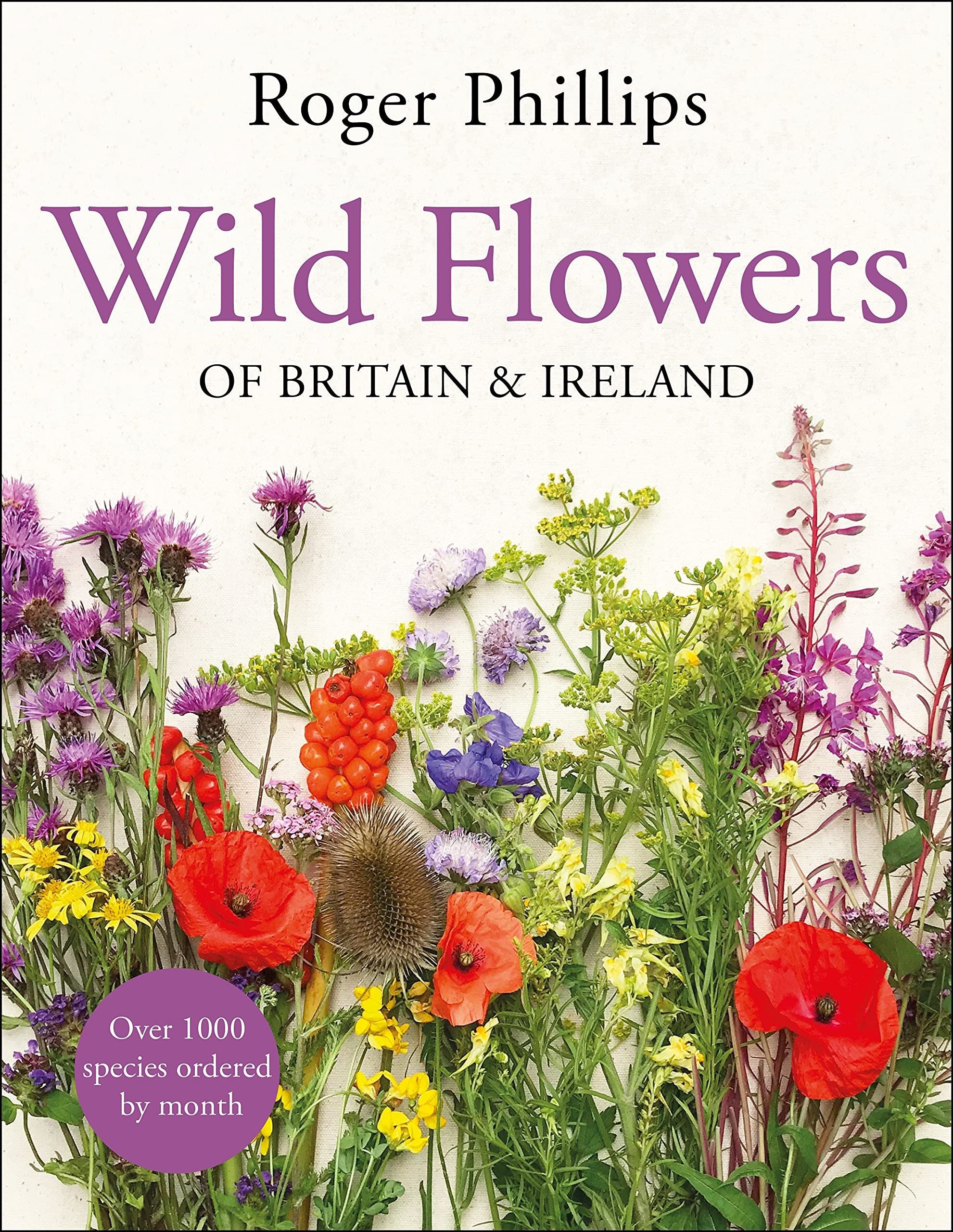 Wild Flowers of Britain and Ireland