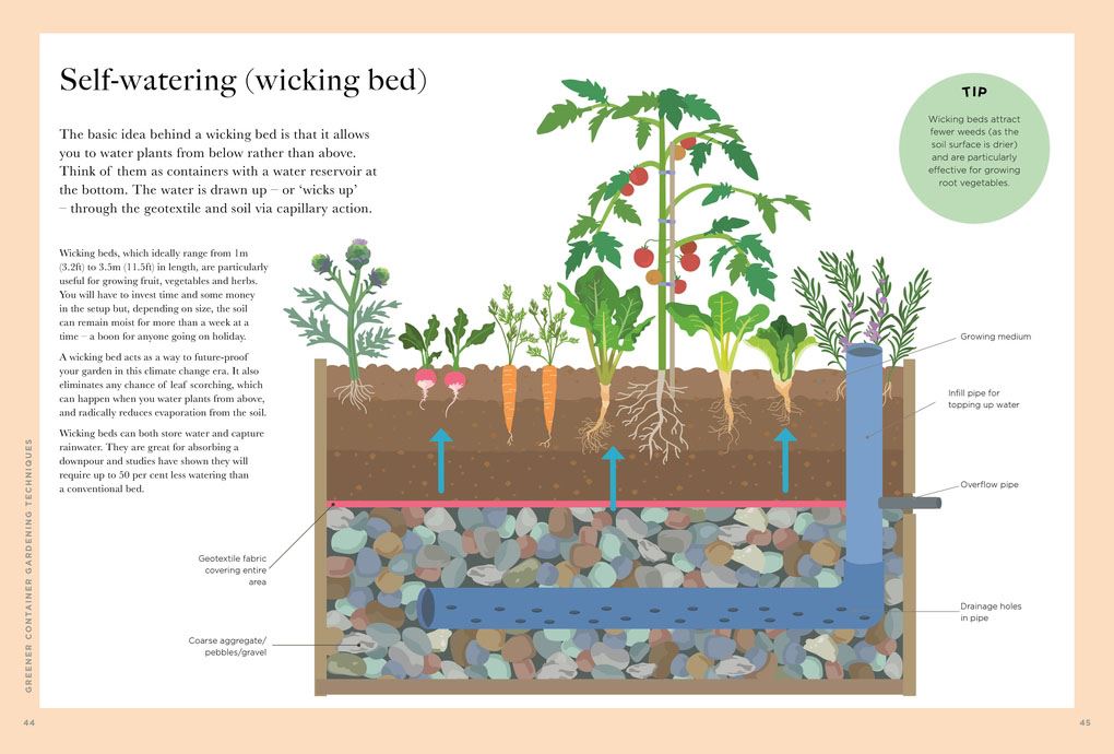 Greener Gardening: Containers