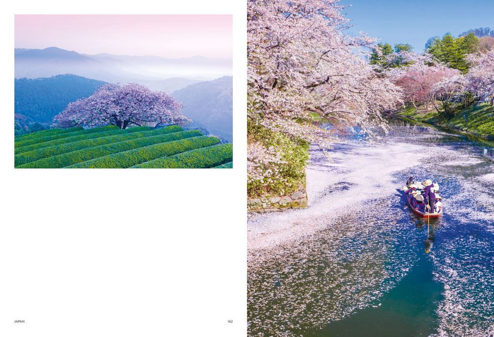 Japan | Voyage Collection