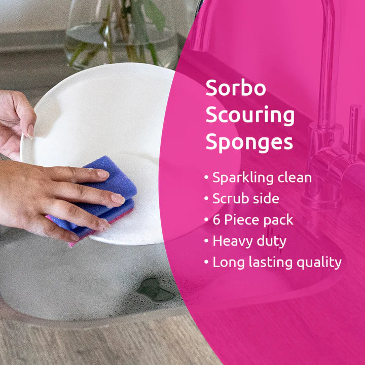 Colourful Scouring Sponges