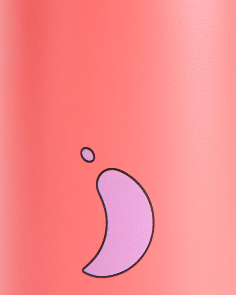Watermelon Kids Water Bottle | 350ML