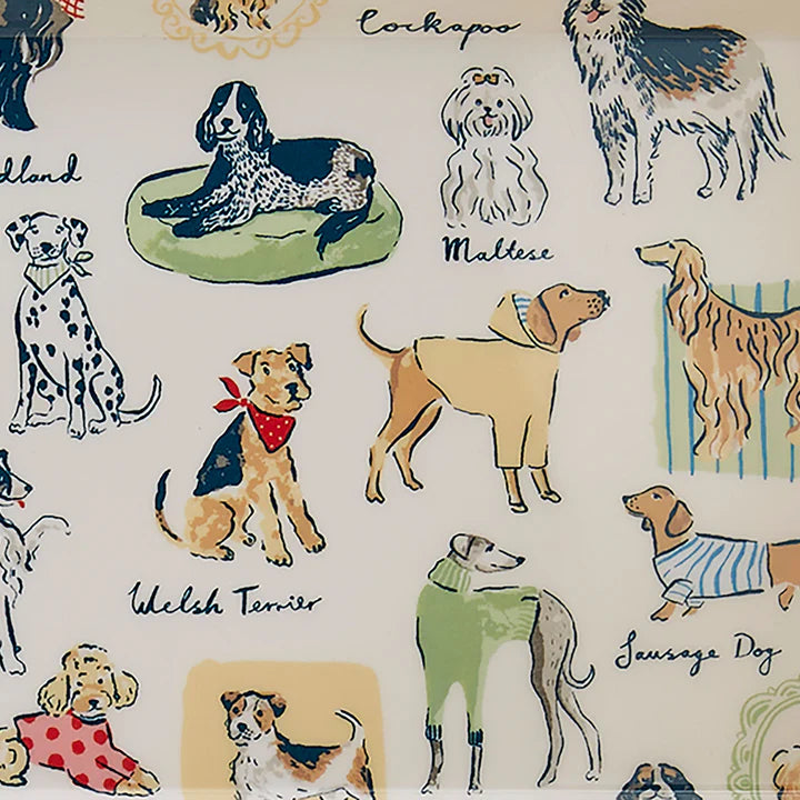 Best in Show | Small Tray