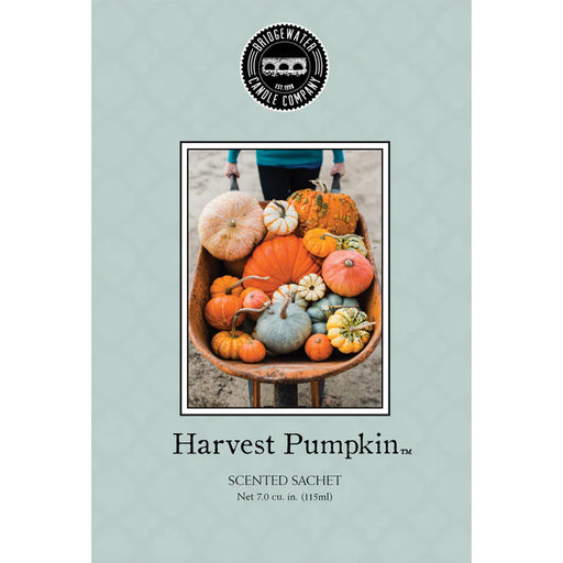 Harvest Pumpkin