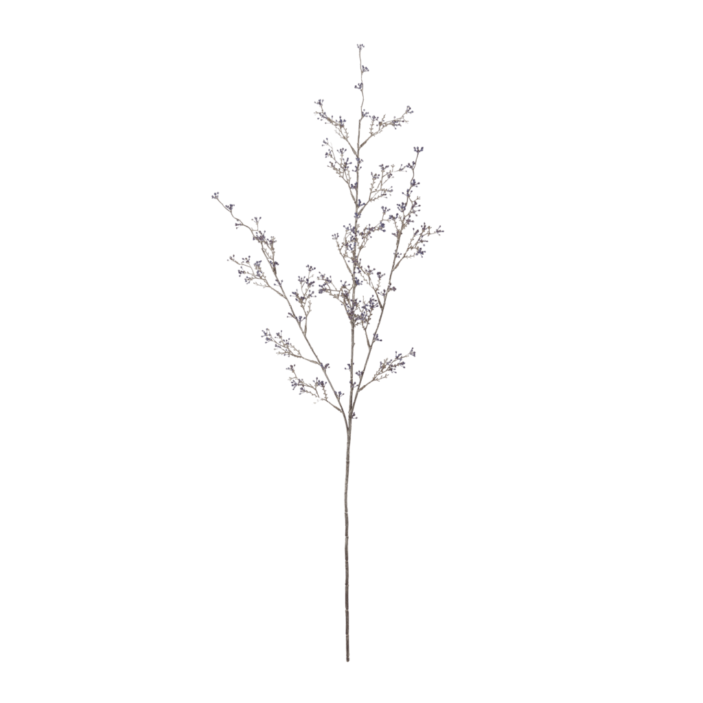 Blosson Berry | Smoke