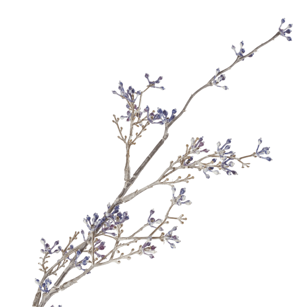 Blosson Berry | Smoke