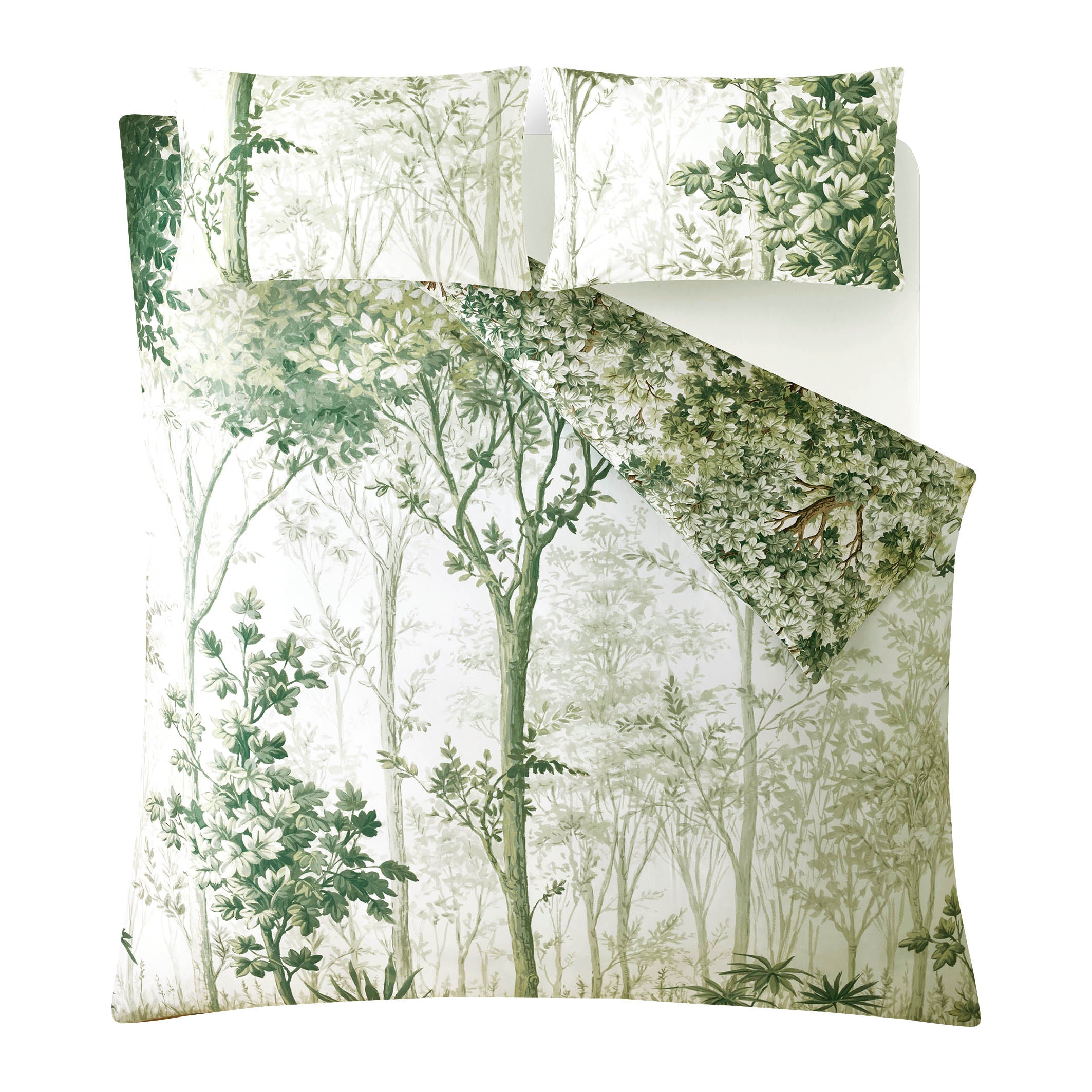 Coppice Forest Sage