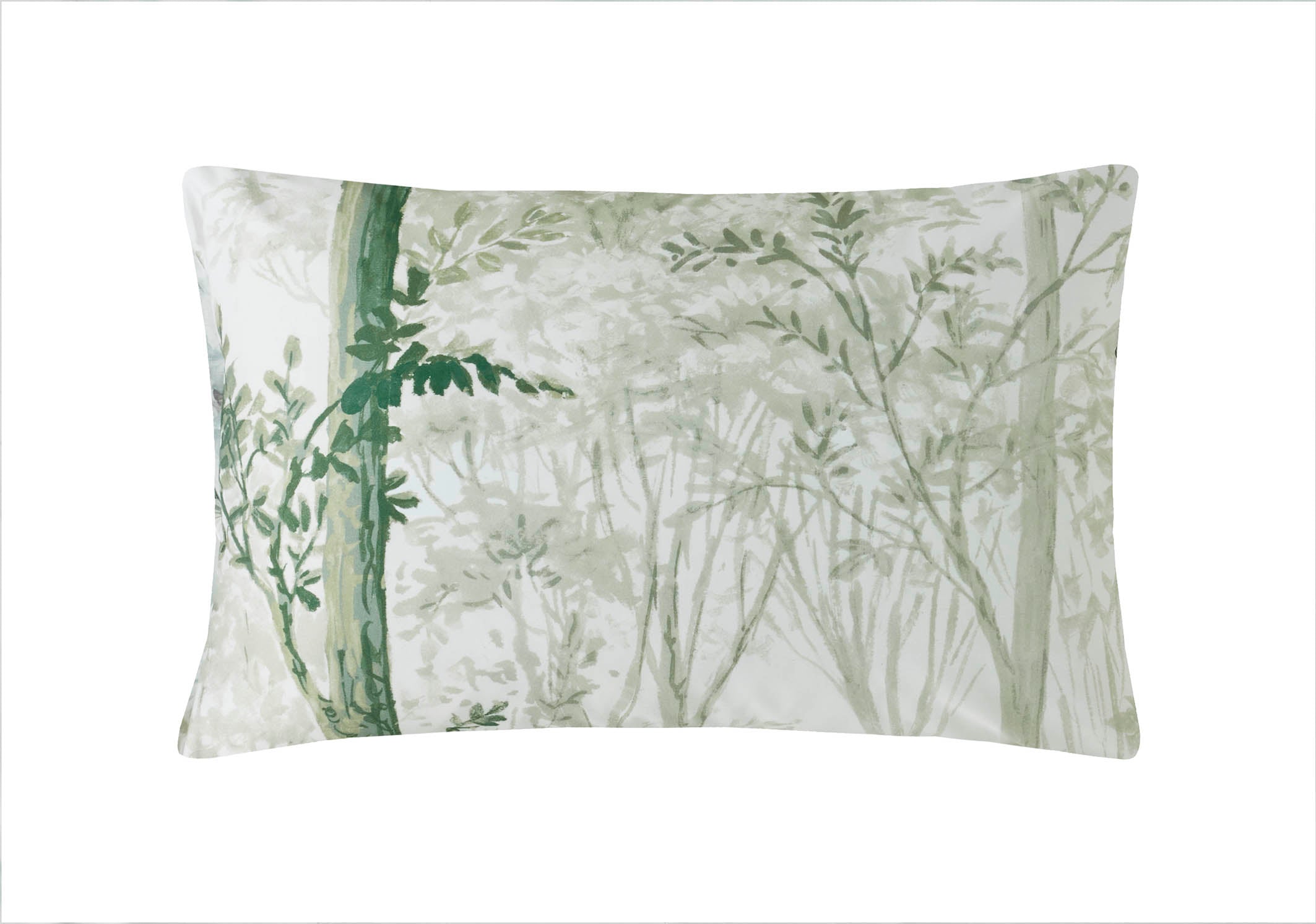 Coppice Forest Sage